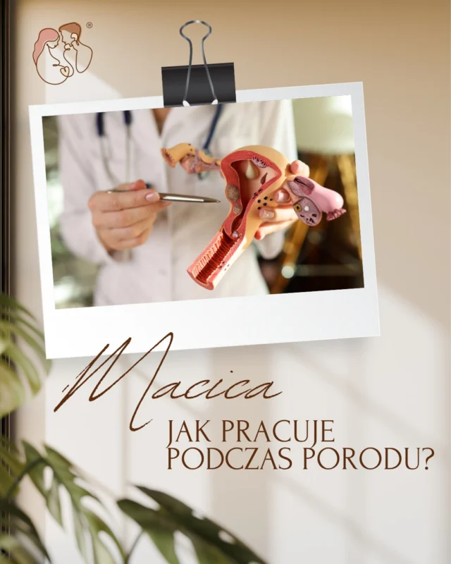 Skurcz porodowy to nie przypadkowy ból. To efekt pracy jednego z najsilniejszych mięśni w organizmie – macicy 🤰

Każdy skurcz ma swój cel: pomaga rozwierać szyjkę macicy i wspiera dziecko w drodze na świat. A pomiędzy skurczami? Macica odpoczywa, dając chwilę regeneracji również Tobie i dziecku.

W karuzeli wyjaśniamy, jak wygląda ta niezwykła praca i dlaczego warto ją zrozumieć!
#halobrzuszek #poród #ciąża