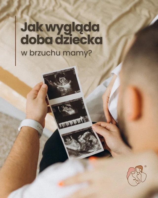 Co tak właściwie robi dziecko w brzuchu? 👶🤎

Śpi całą dobę? A może bawi się wtedy, gdy Ty próbujesz zasnąć? Zobacz, jak wygląda jego dzień!
#halobrzuszek #ciąża2026 #rodzew2026